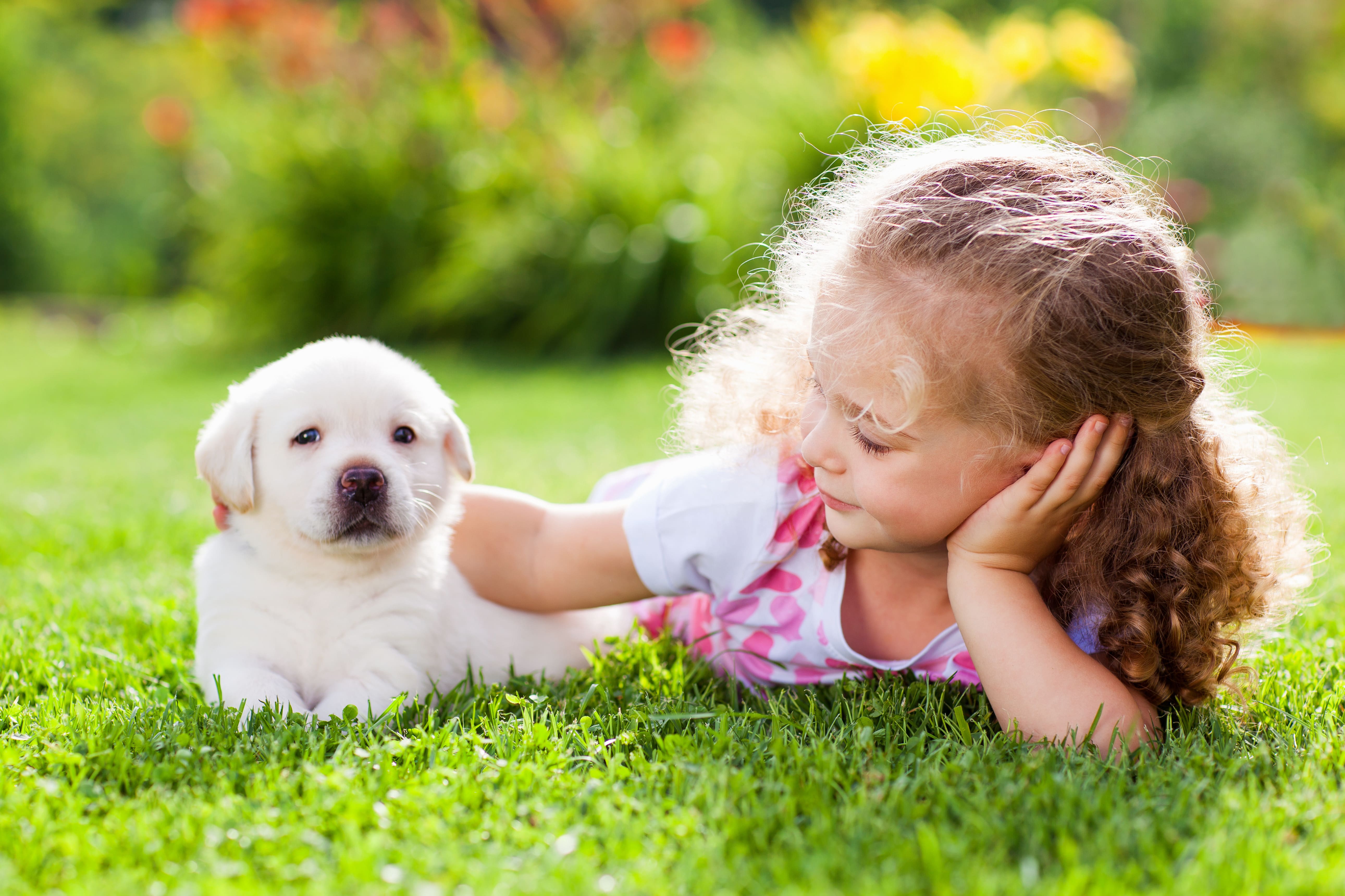 7 Reasons Why Dogs Are Healthy for Children