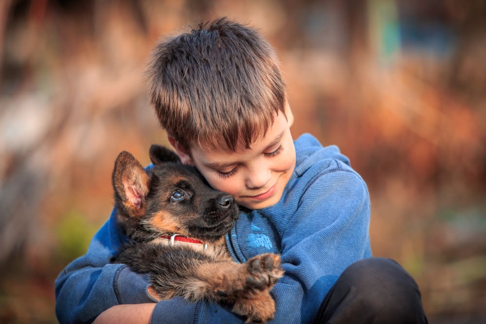 8 Most Affectionate Dog Breeds