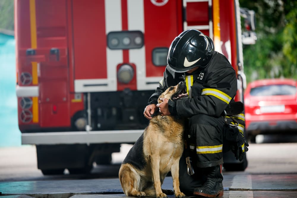 Fire Safety Tips