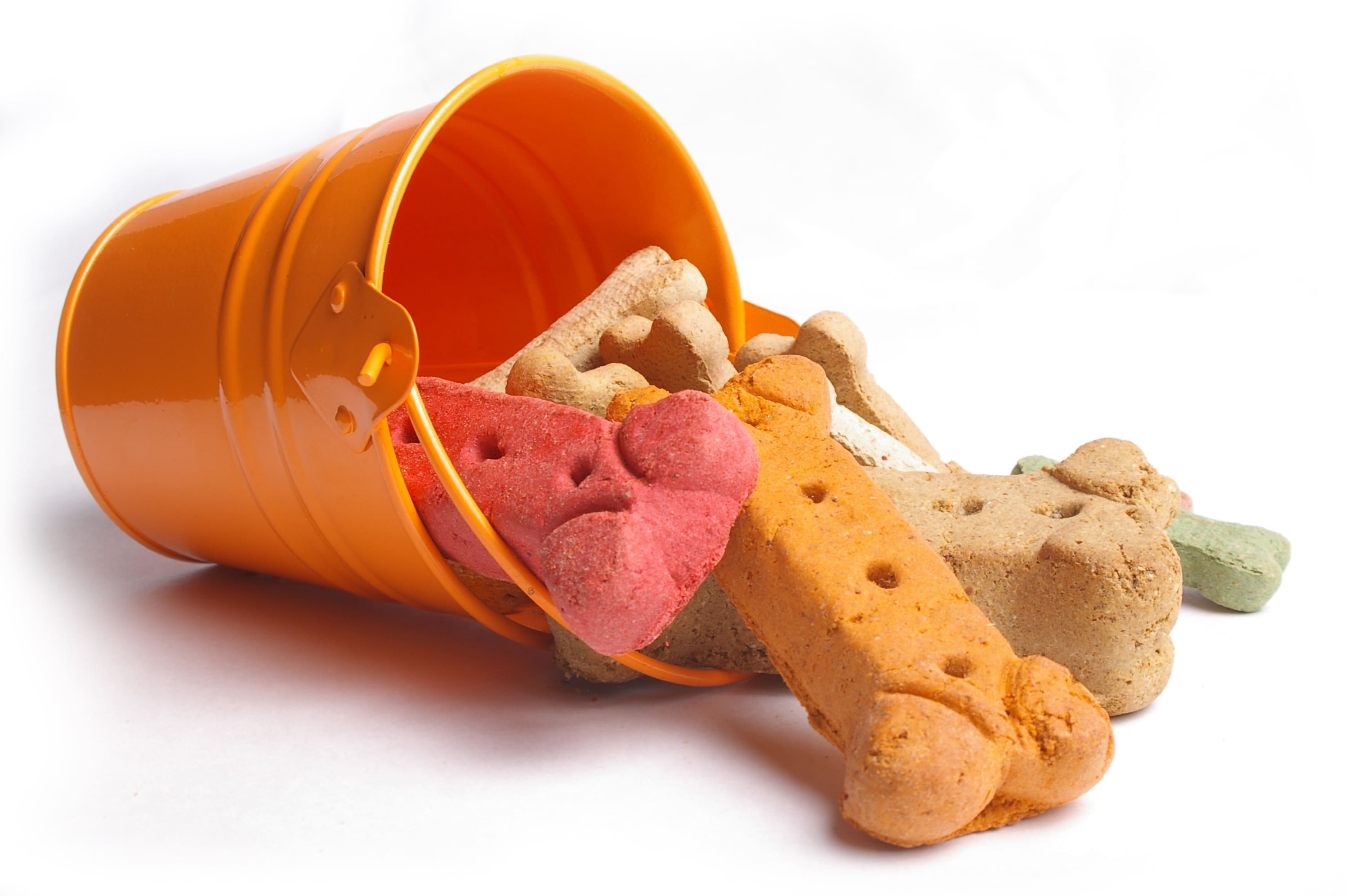 Homemade Pumpkin and Peanut Butter Treats