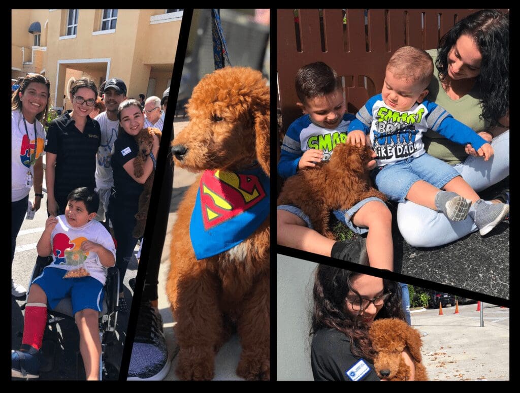 Petland Miami Supports Families In Walk