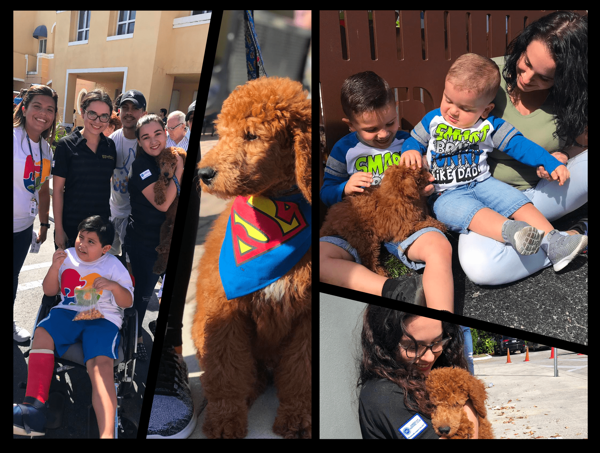 Petland Miami Supports Families In Walk