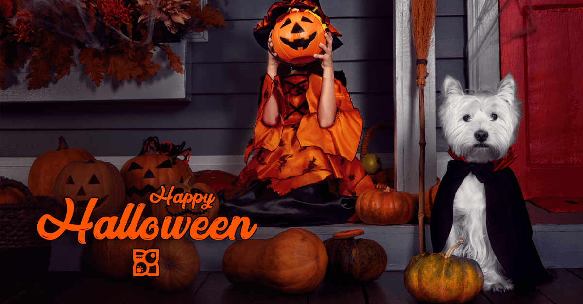 5 Tips for Your Pup’s Safety This Halloween