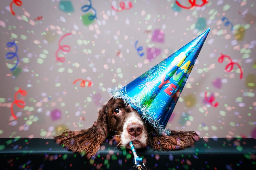 New Year’s Resolutions For You and Your Puppy!