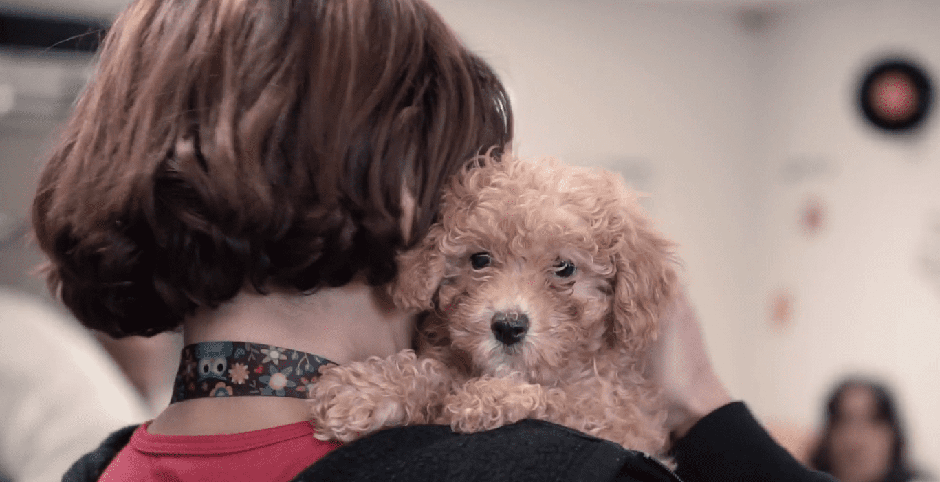 Petland Miami Visits The WOW Center
