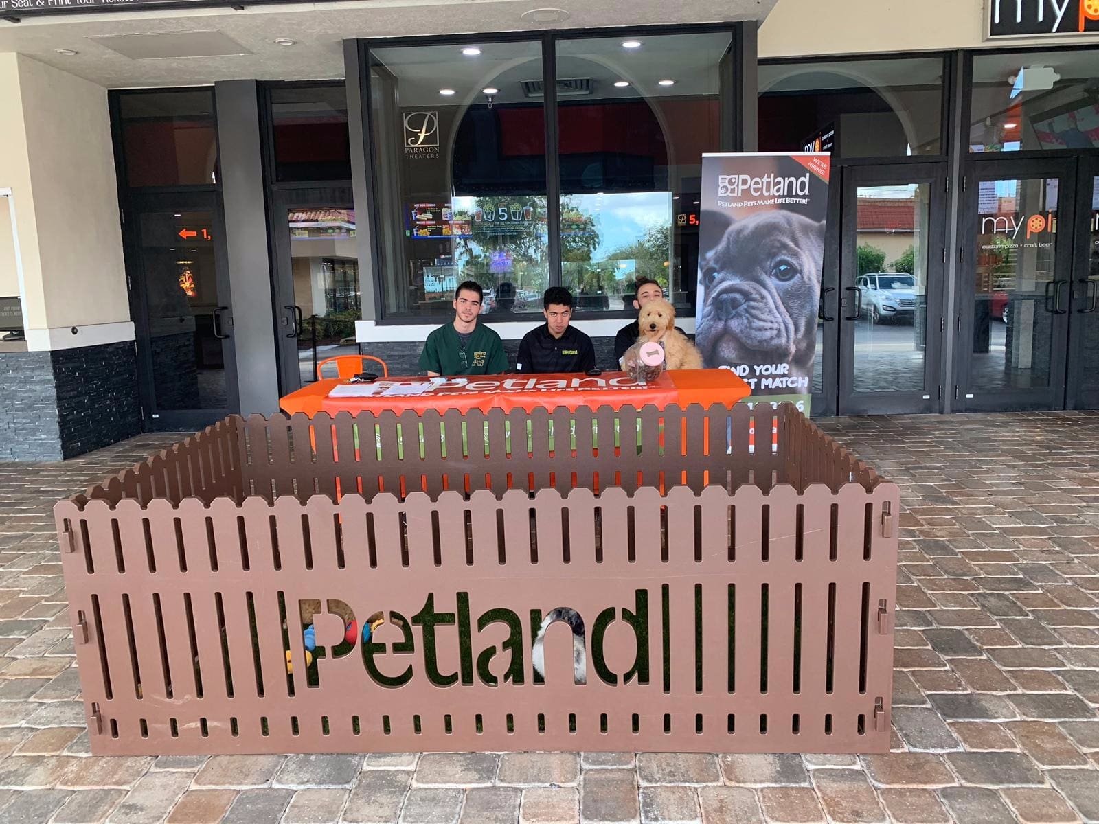 Petland Miami Brings Puppies to the Movies