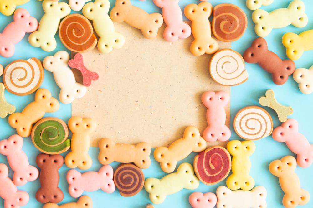 5 Best Homemade Dog Biscuits For Your Puppy