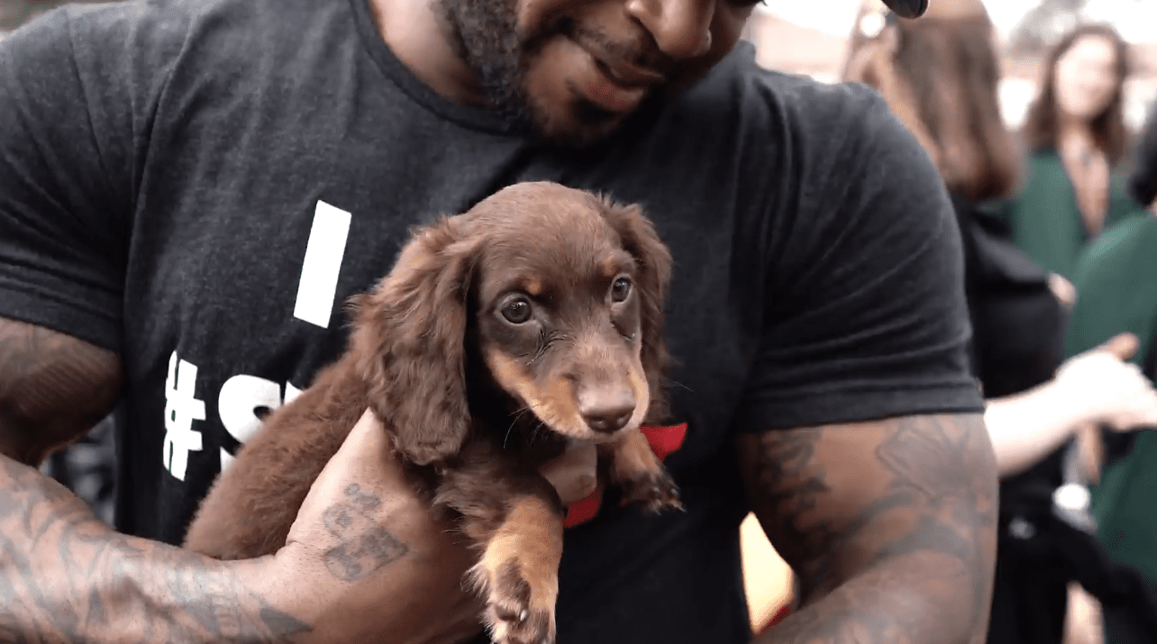 Petland Hosts Puppy Playtime for Anniversary
