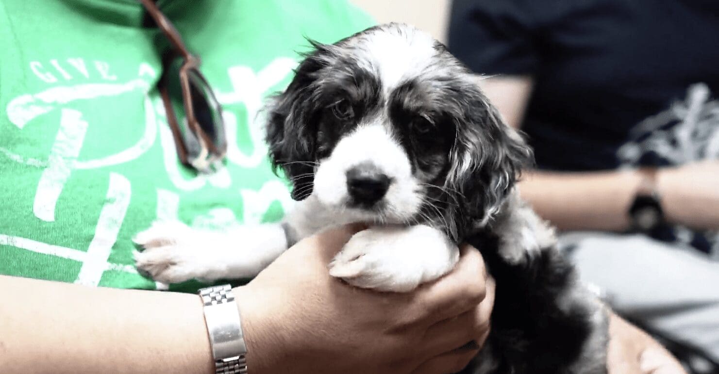 Petland Makes A Visit to Community Agency