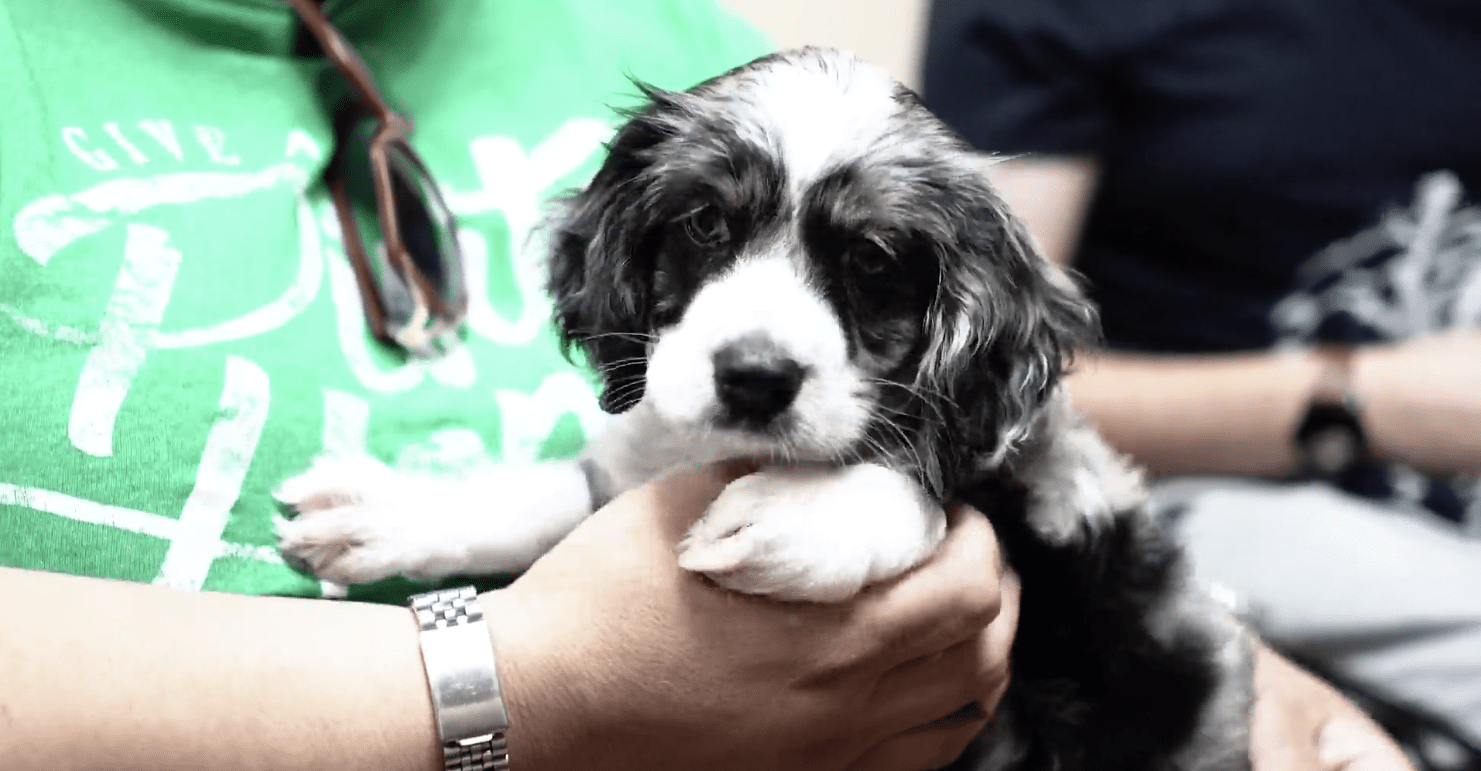Petland Makes A Visit to Community Agency