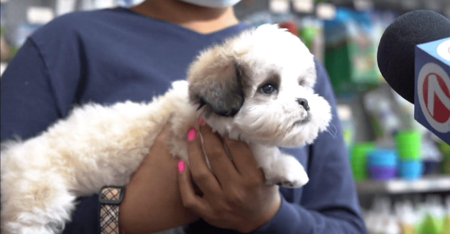 Petland Donates Puppy To Cancer Patient
