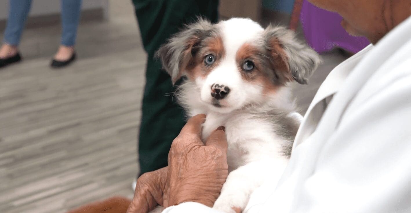 Petland Visits Adult Day Care