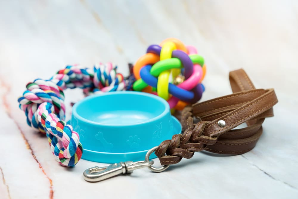 7 Must-Have Puppy Supplies