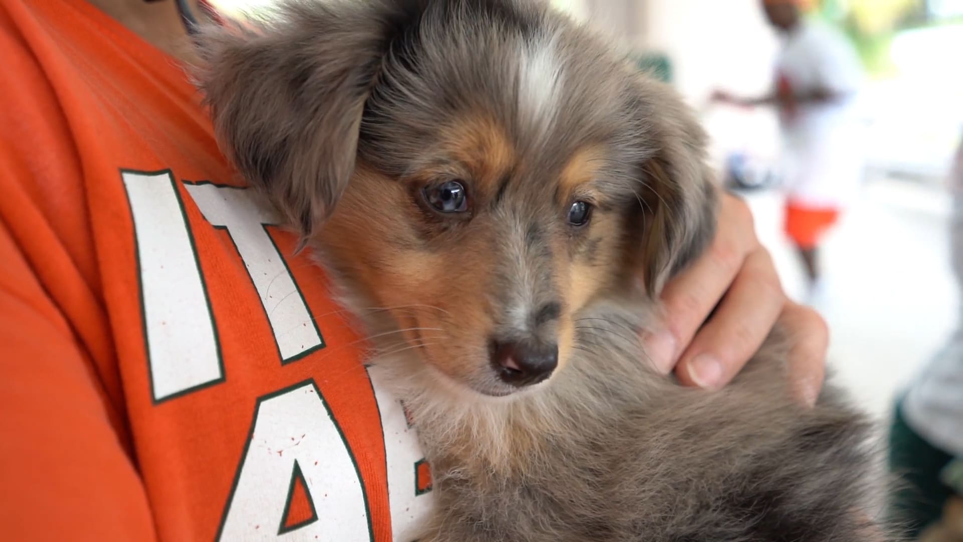 Petland Puppies Meet Friends at WOW Center