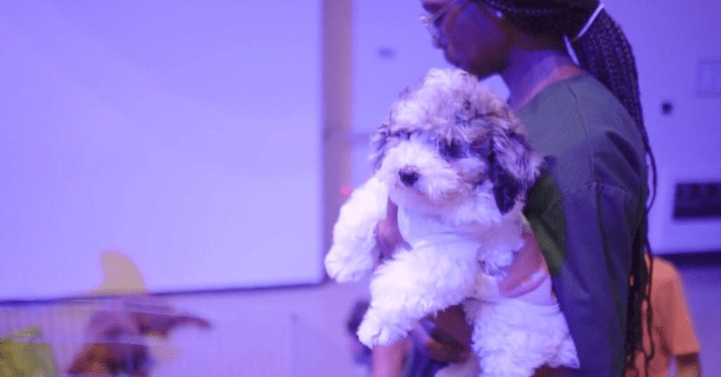 Petland Miami Attends Mayor’s Kids Day