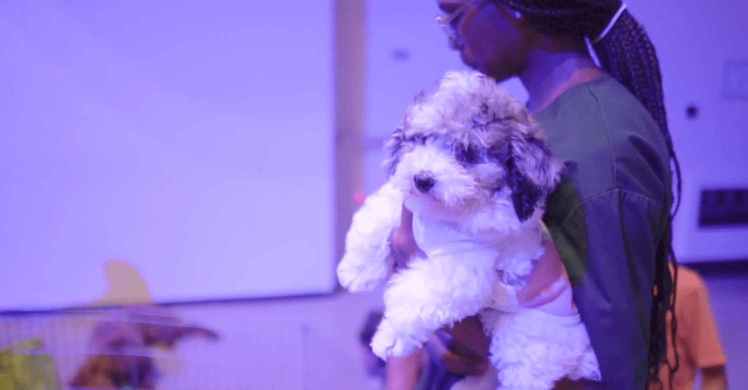 Petland Miami Attends Mayor’s Kids Day