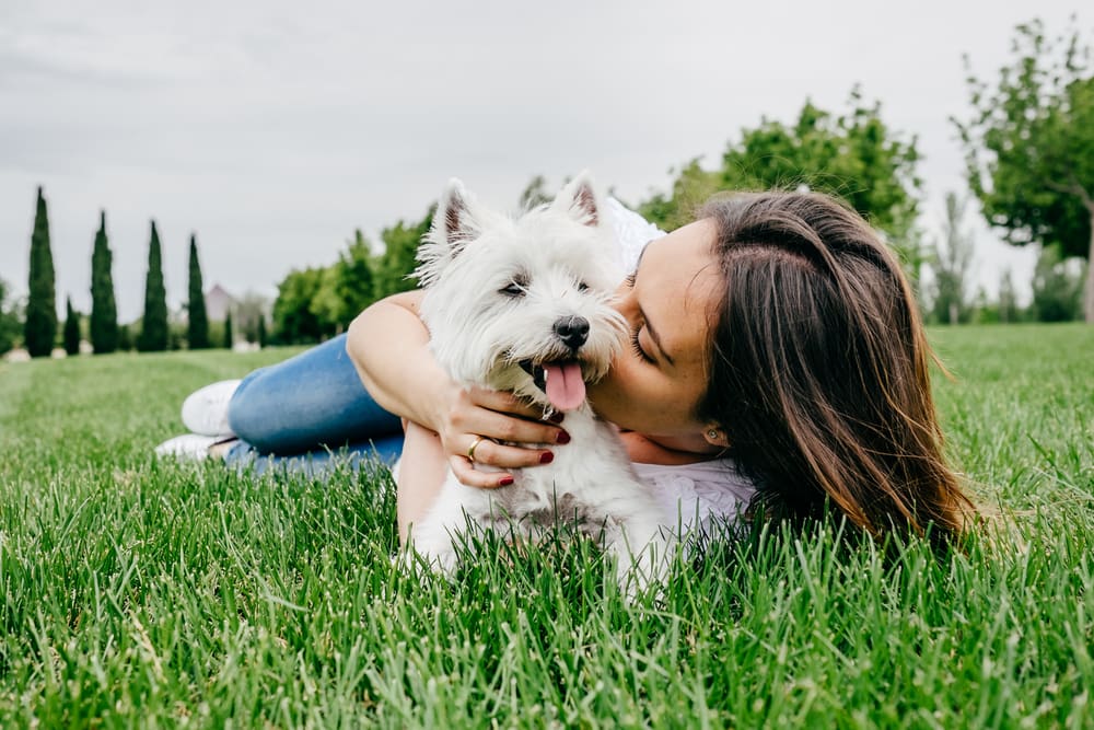 Top 5 Best Dog Breeds for New Owners