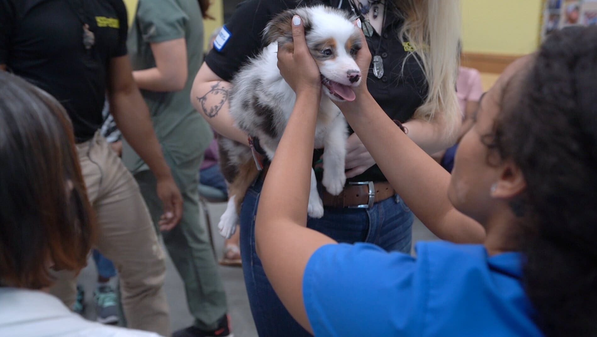 Petland Puppies Visit Friends at Senior Center