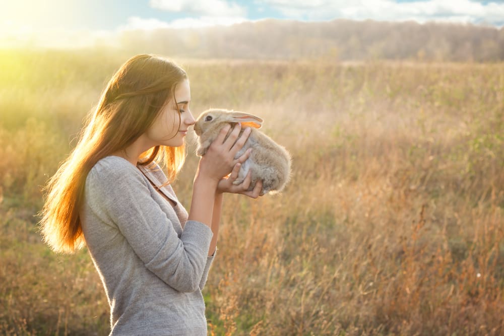 What to Consider When Choosing a Pet Rabbit