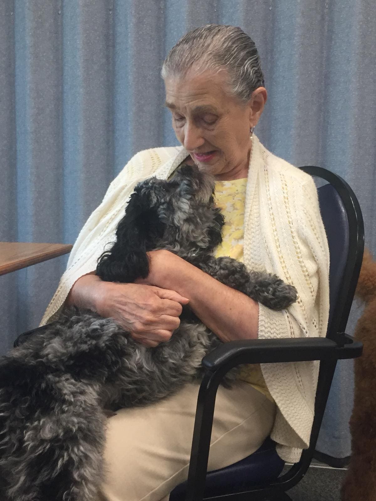 Petland Holds Puppy Therapy at Senior Center