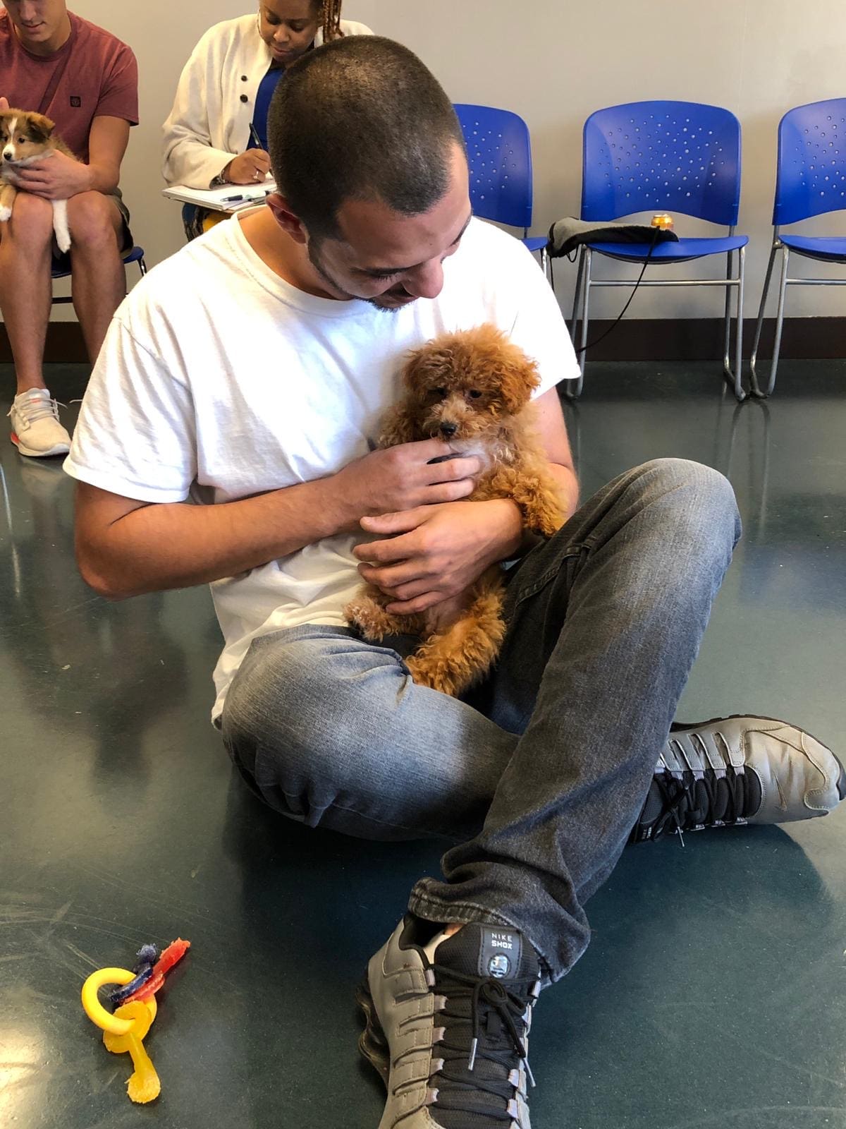 Petland Puppies at Holistic Recovery Center