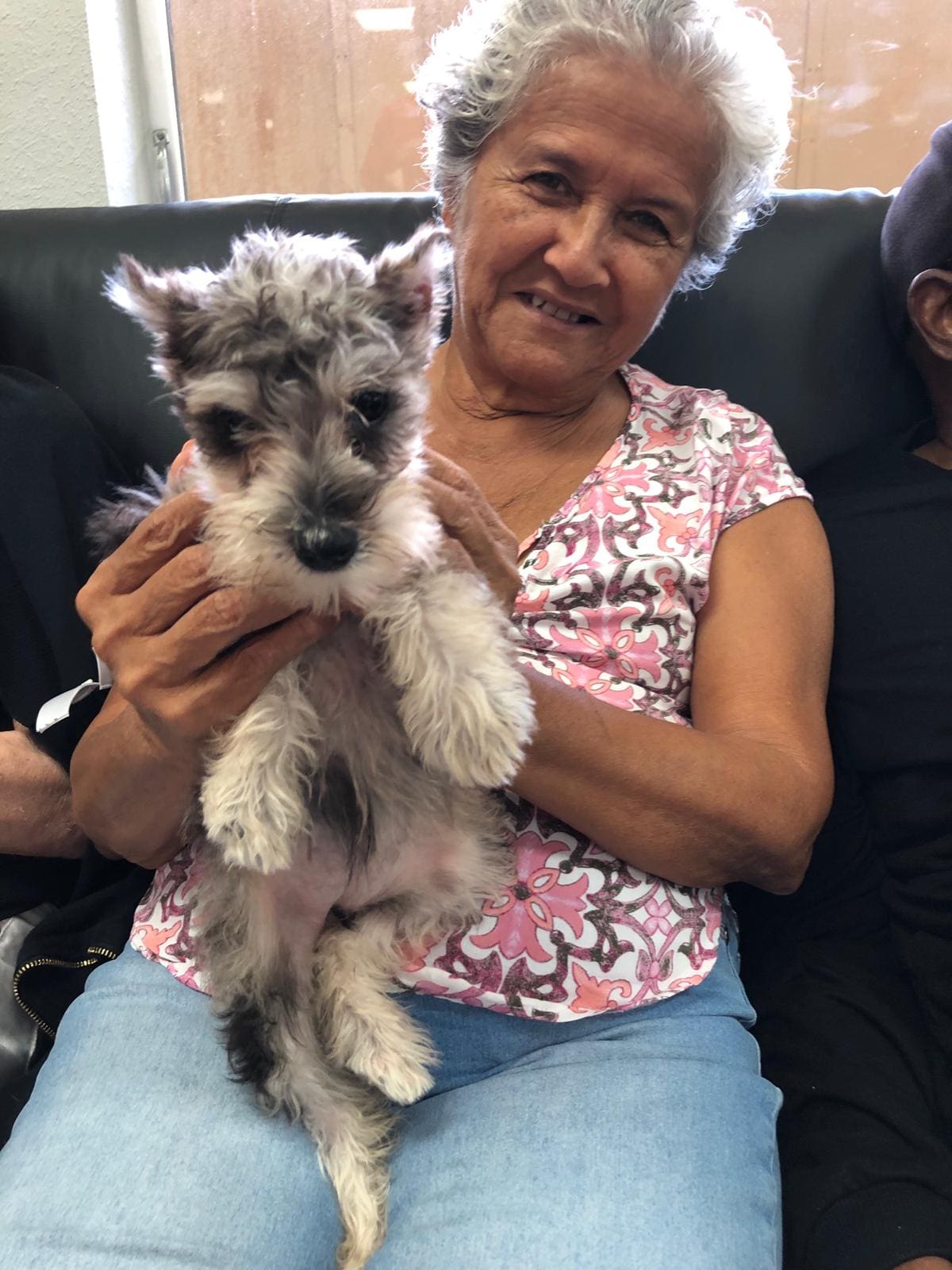 Petland Puppies at Always At Your Side Day Care