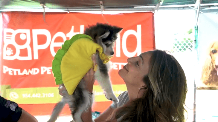 Petland Puppies at 7th Annual Bow-Wow Ween