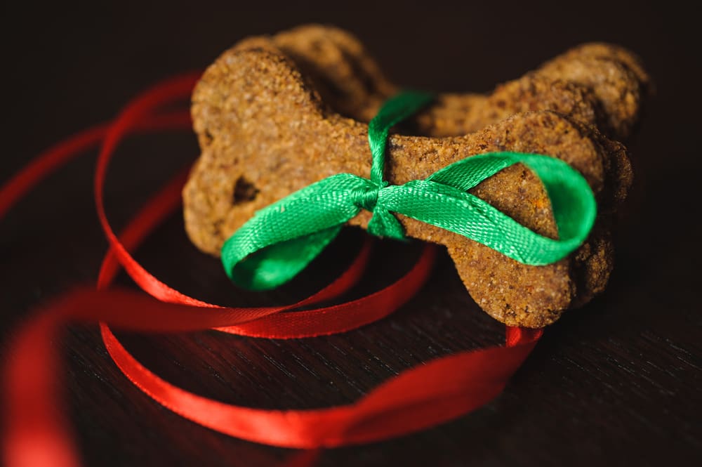 6 Holiday Treats For Your Puppy