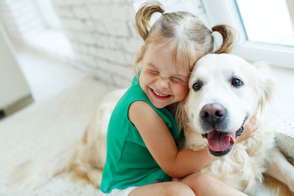 6 Kid-Friendly Dog Breeds