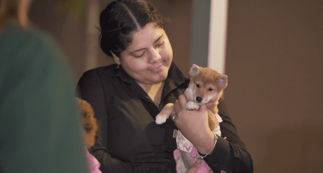 Petland Puppies Go to WOW Center Block Party