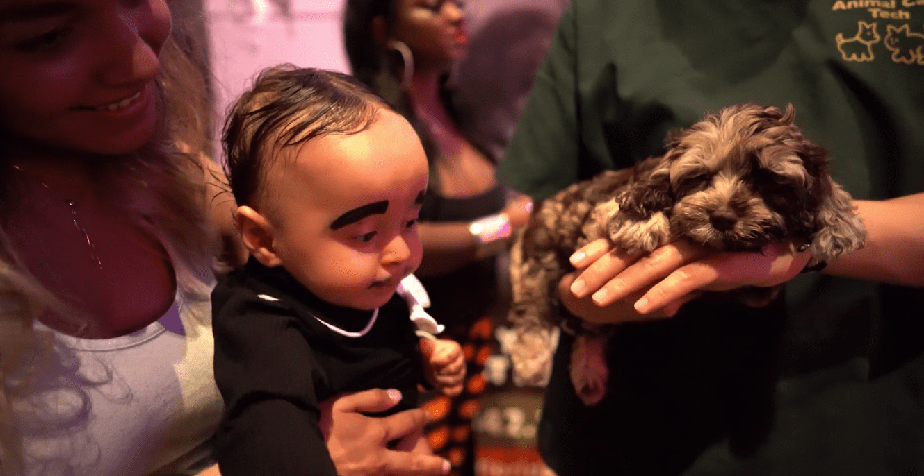 Petland Puppies Attend Boo-ville Event
