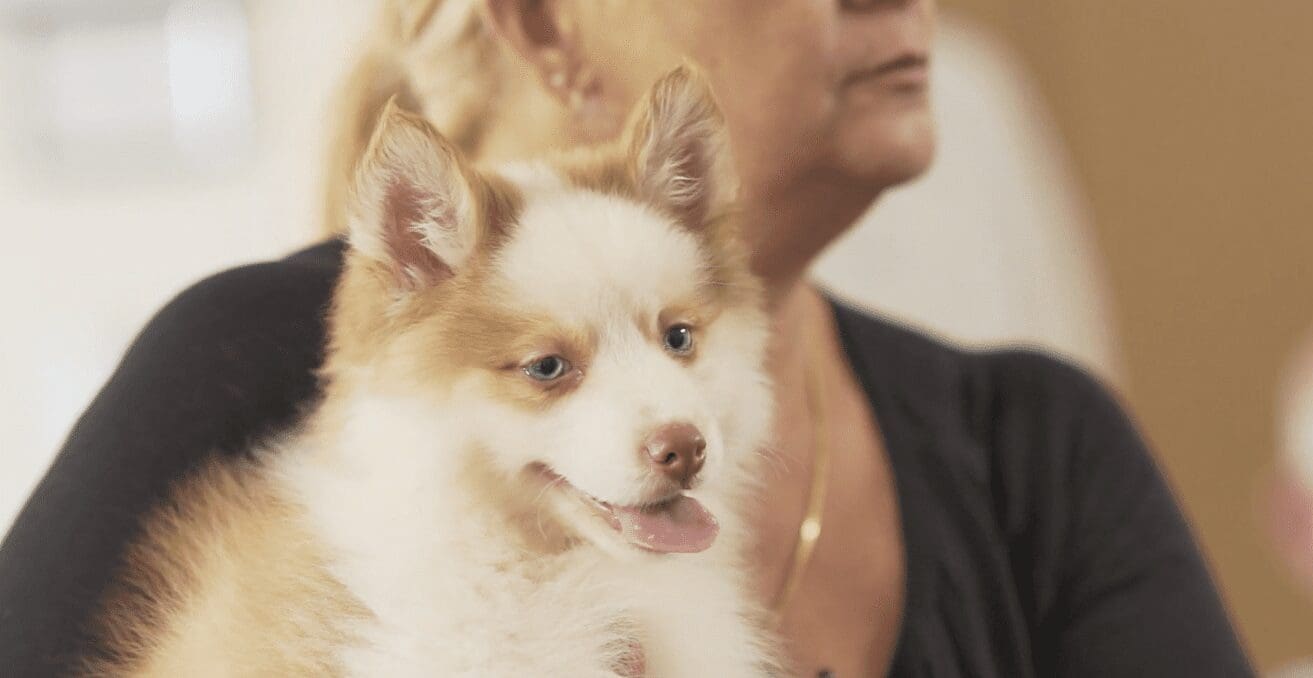 Petland at Cross Gardens Care Center