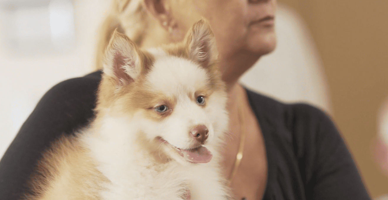Petland at Cross Gardens Care Center
