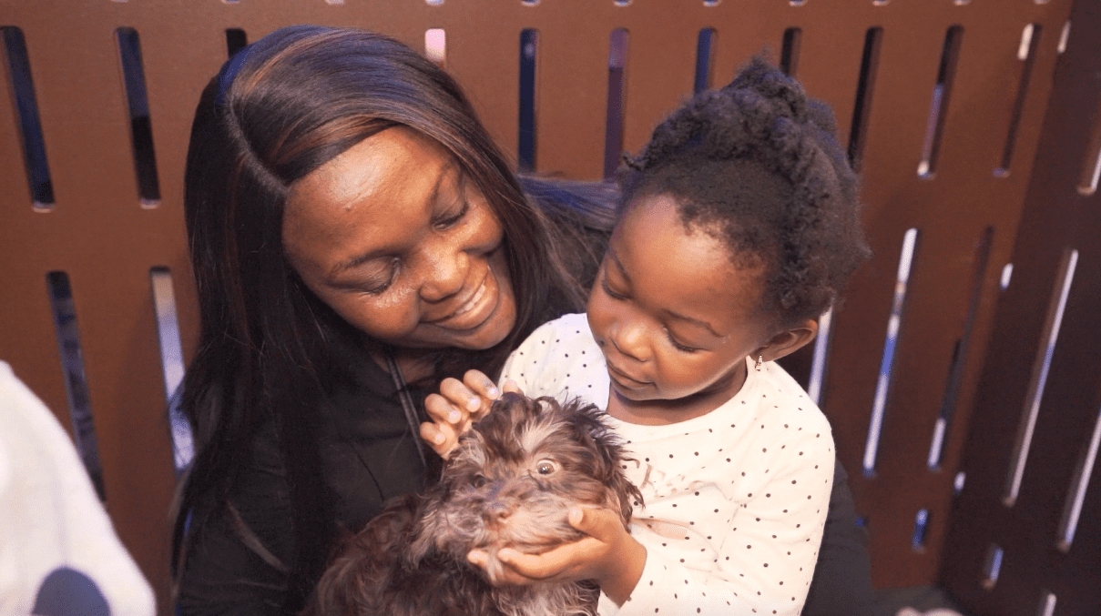 Petland Miami at SnowFest Christmas Festival