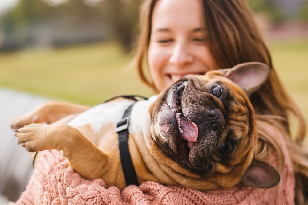 Spaying and Neutering Dogs: What You Should Know