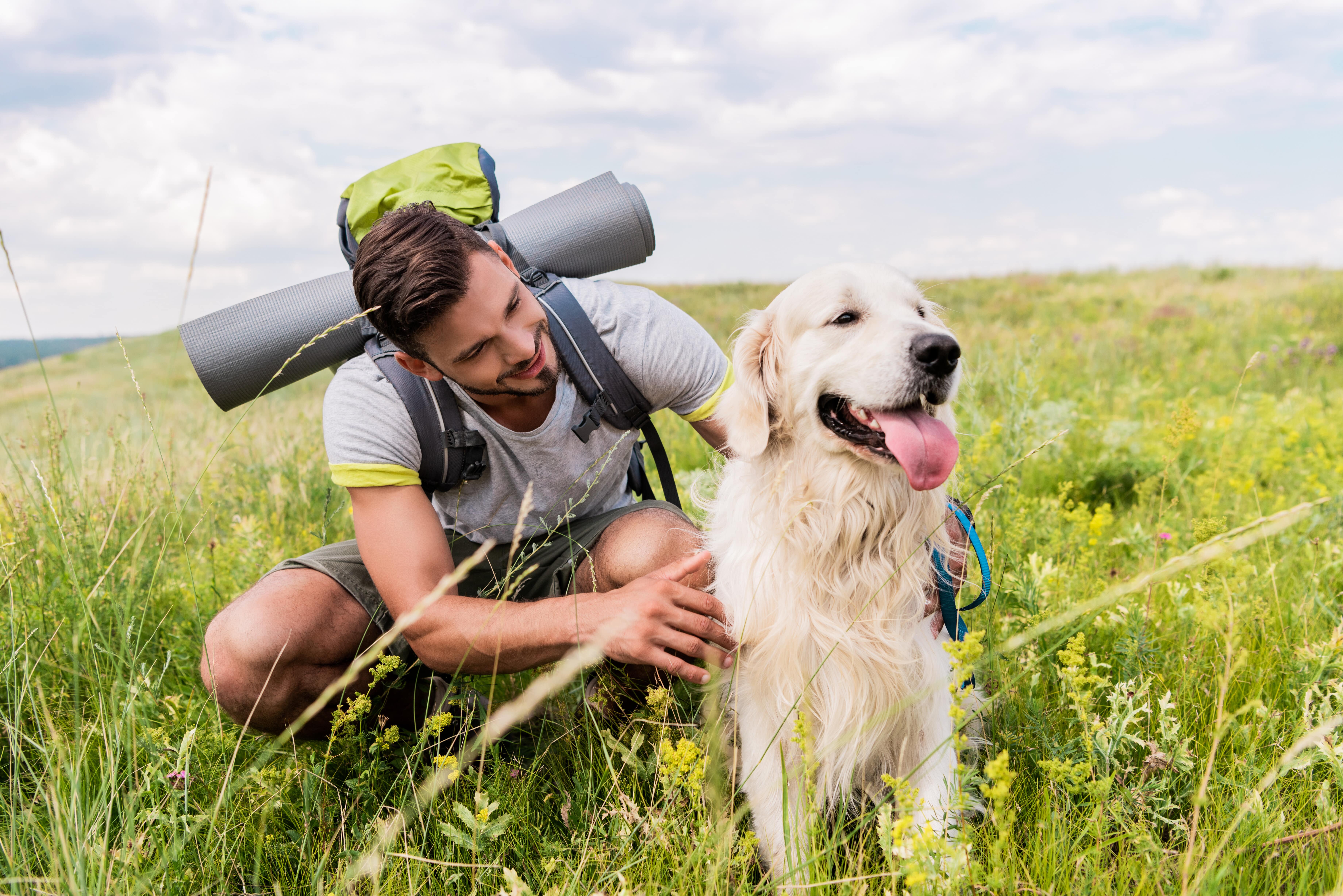 10 Best Dog Breeds For Hiking