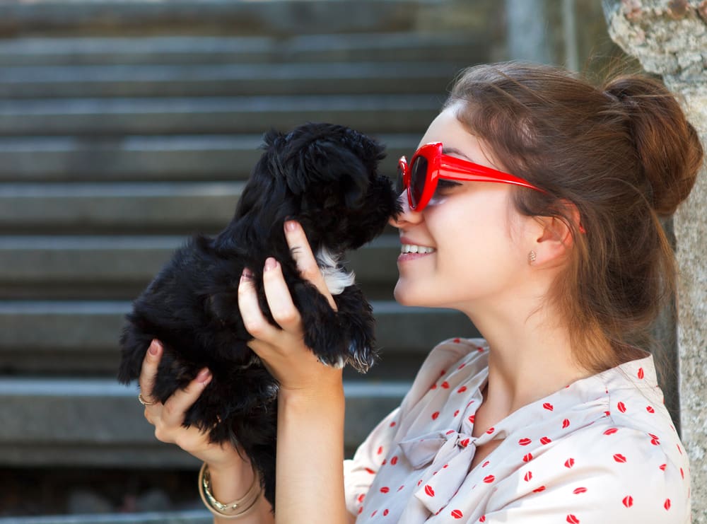 5 Signs Your Significant Other Wants a Puppy