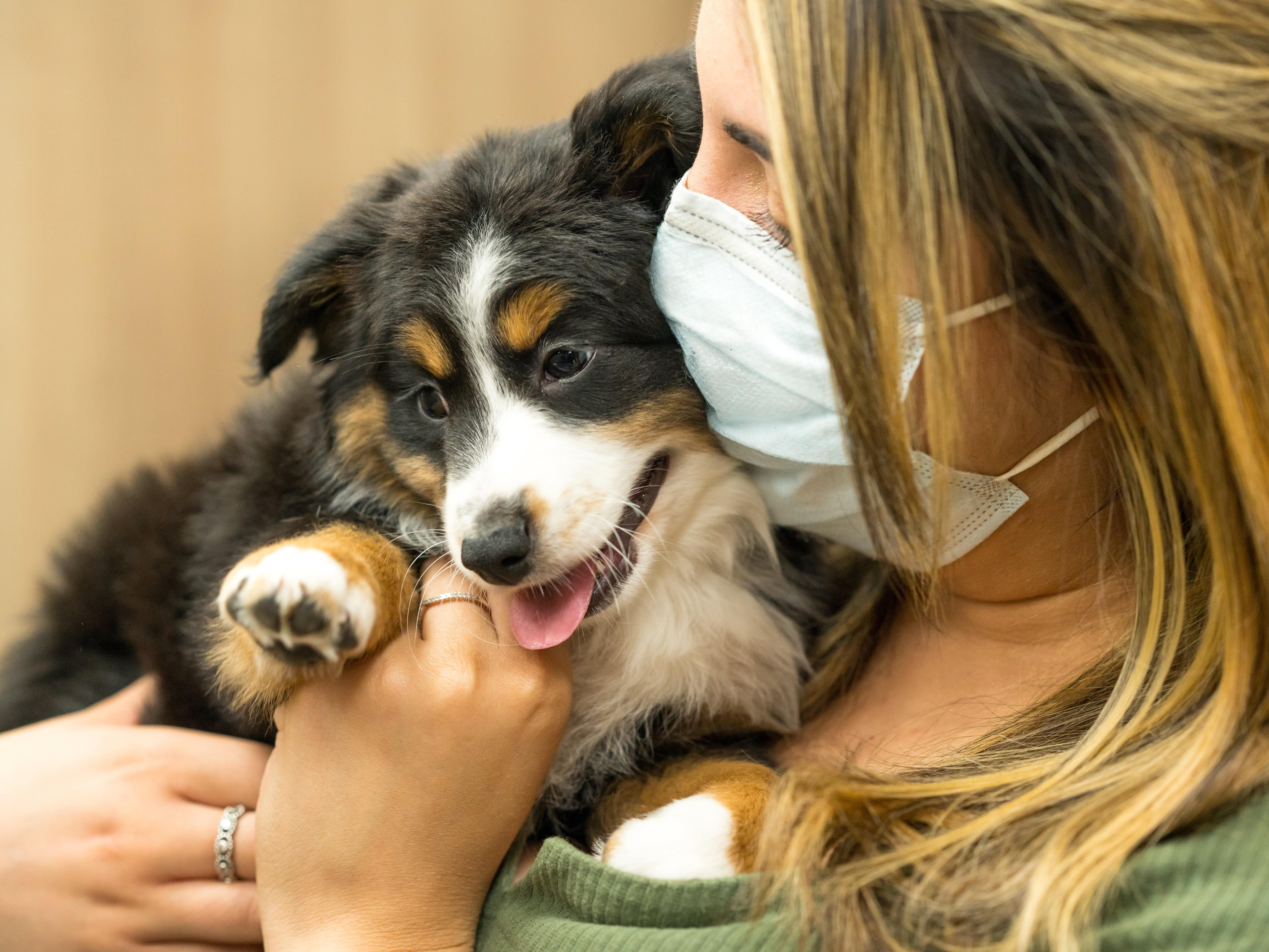 Petland Puppy Giveaway Winner Gets New Puppy