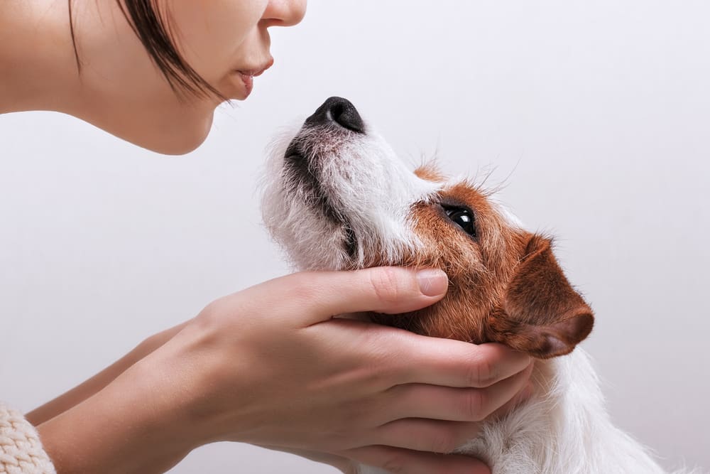5 Weird Dog Habits You Should Know