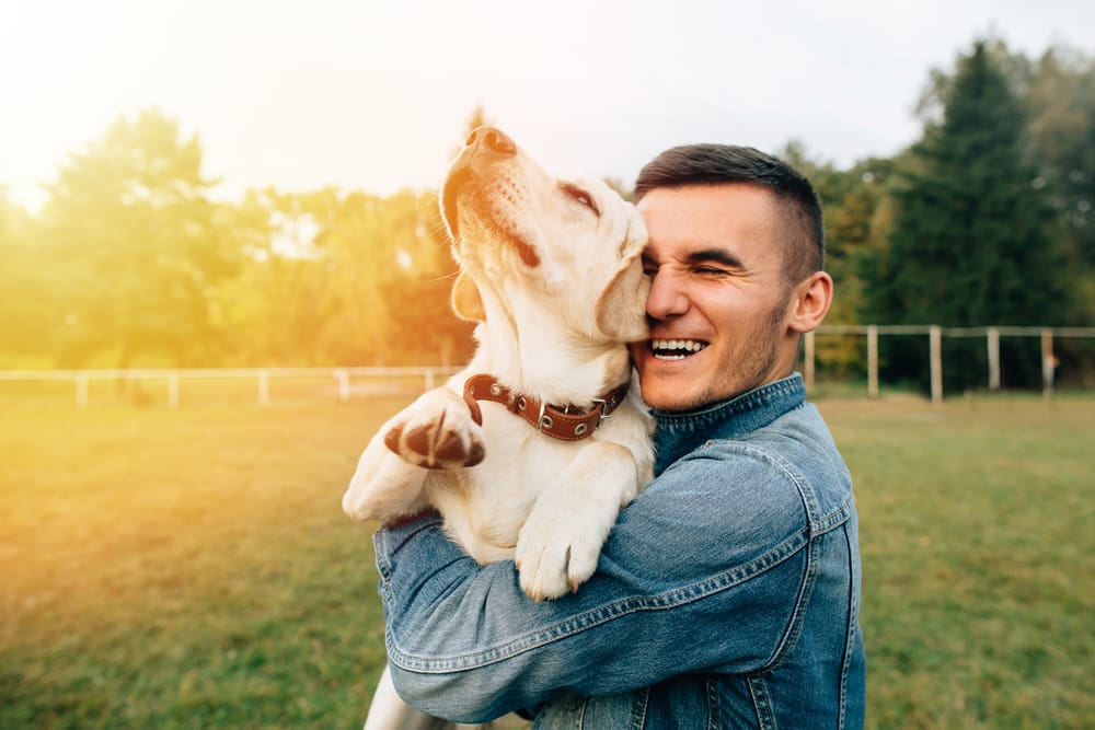 10 Dog Breeds For Every Dad This Father’s Day