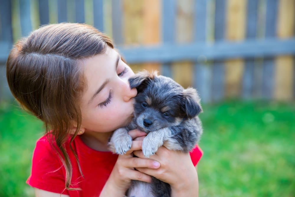 5 Life Lessons Kids Learn From Puppies