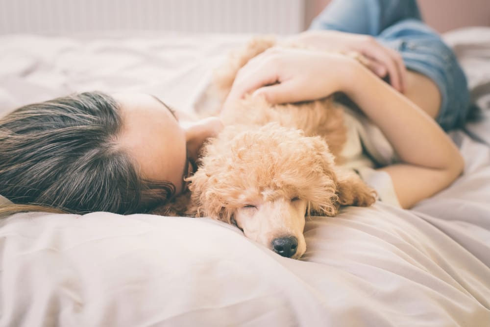 How to Train Your Puppy to Accept Handling