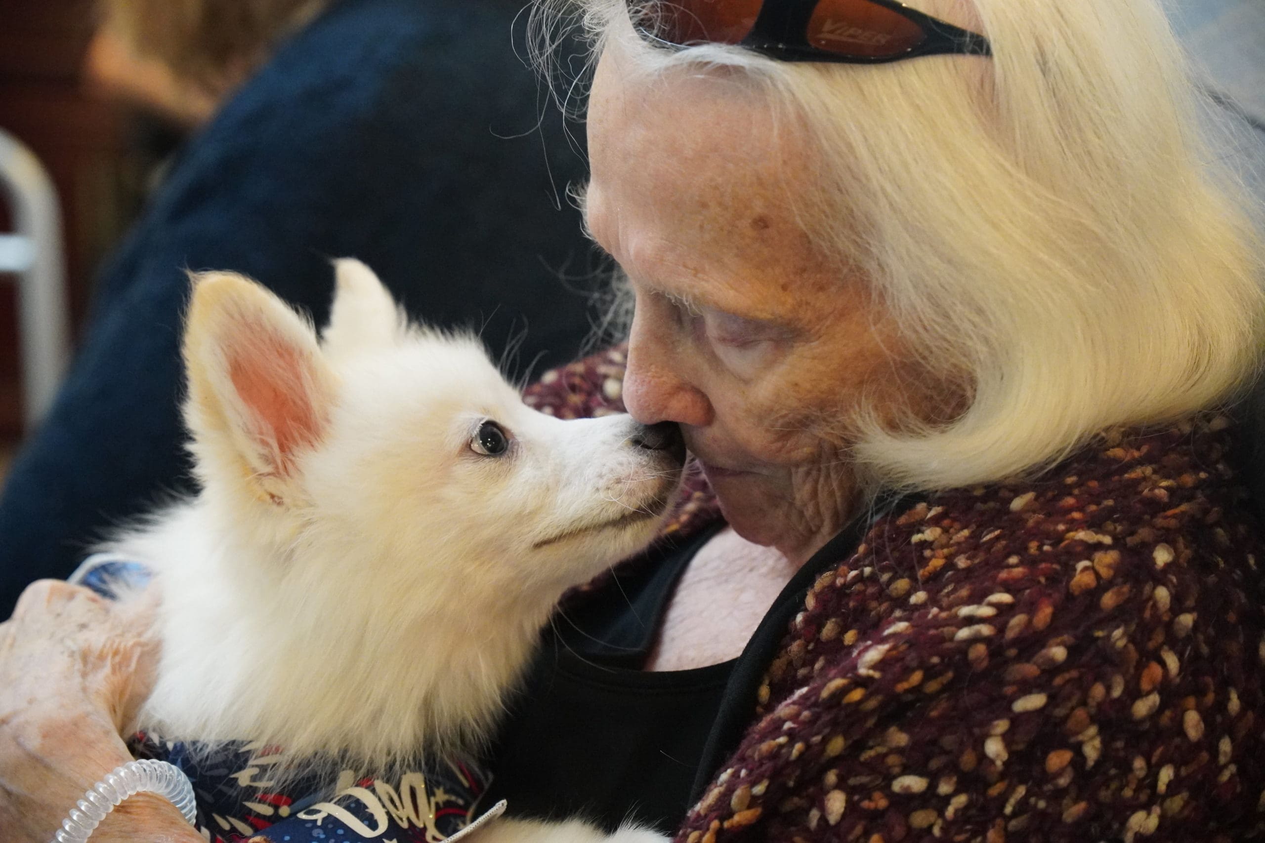 Petland Miami Visits Sodalis of Largo