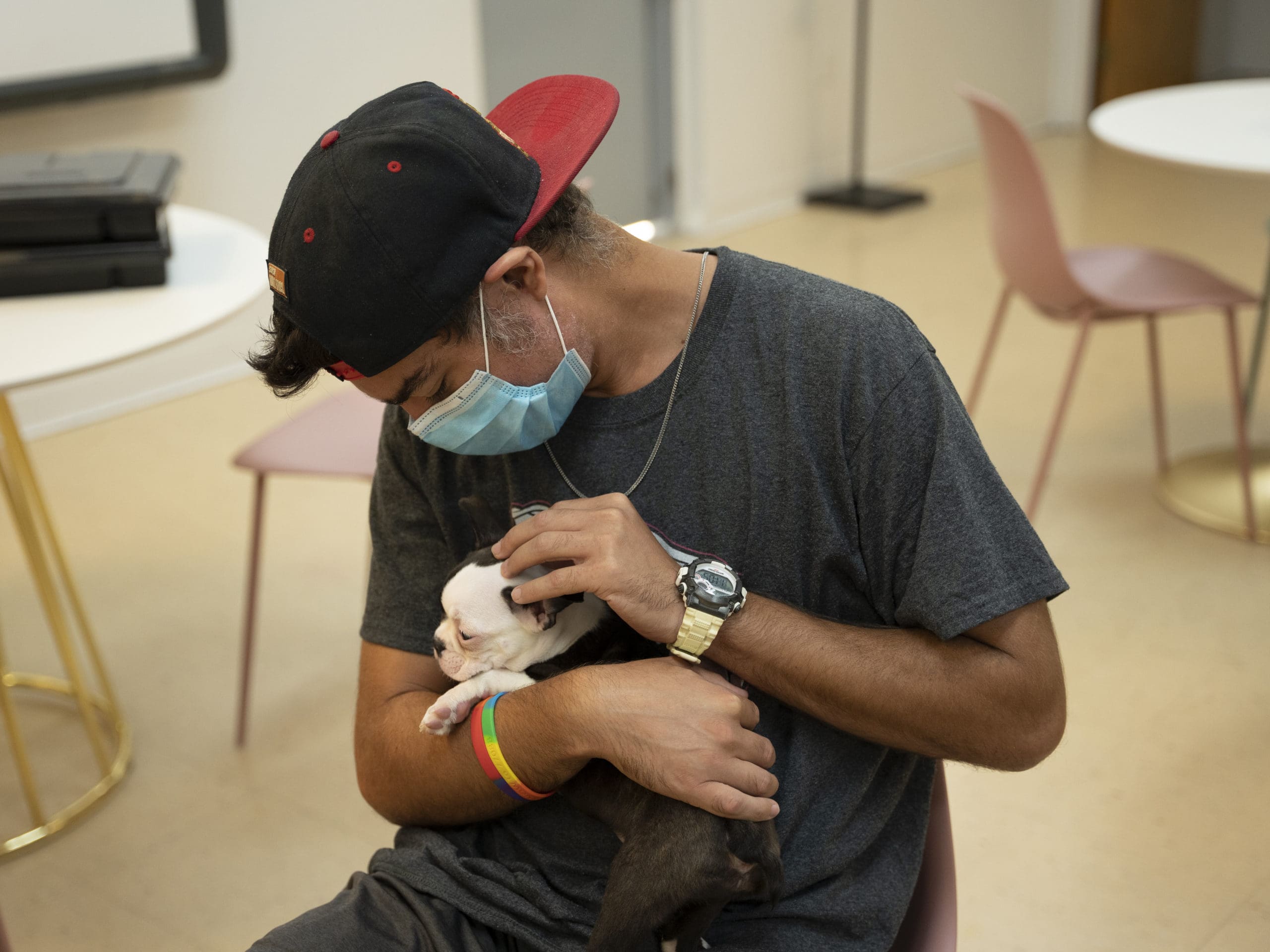 Petland Puppies Give WOW Center a Visit