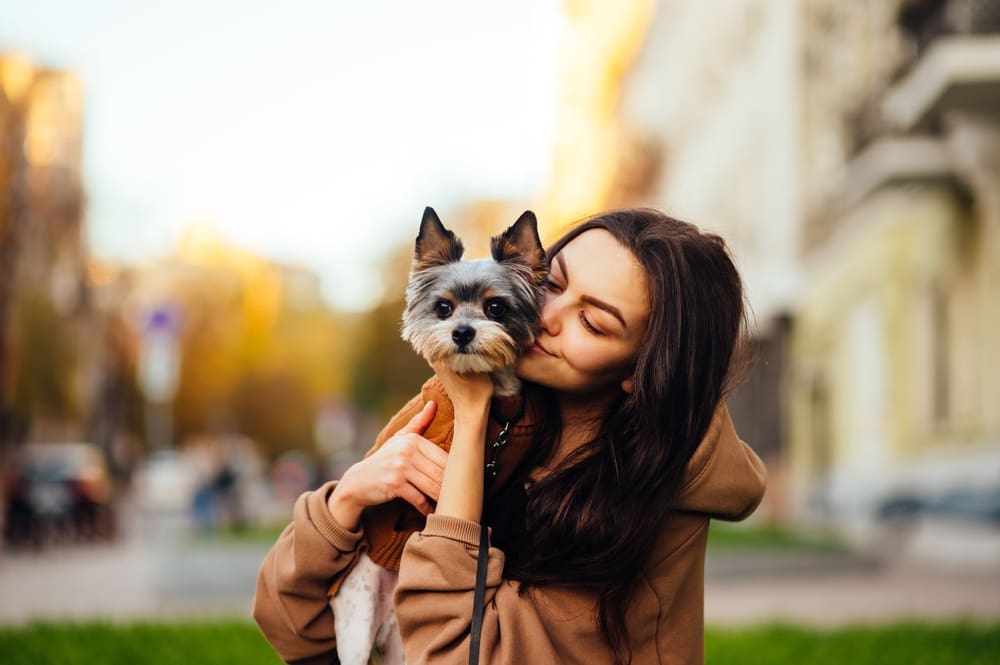 Autumn Activities for Your New Puppy