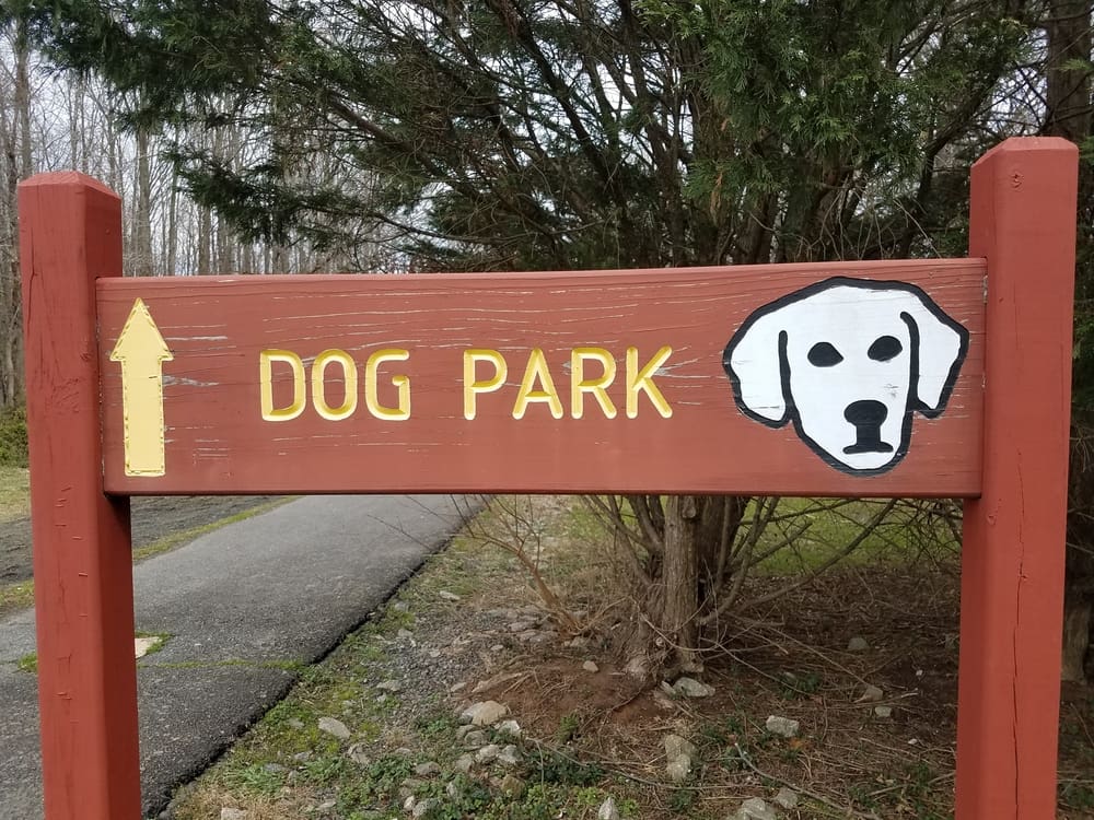 The Best Dog Parks in Florida for Puppies