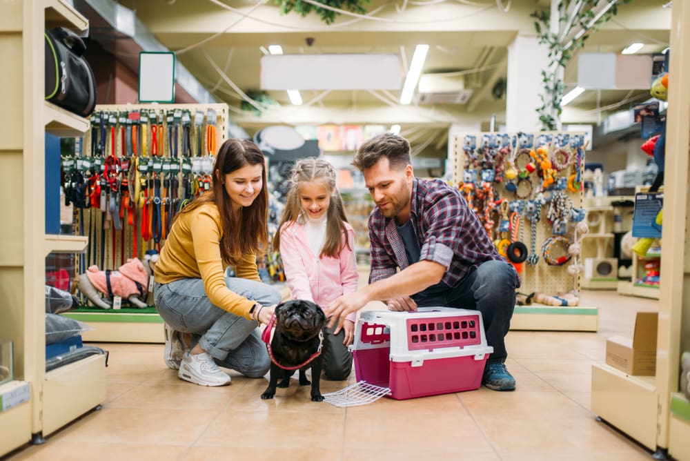 7 Behaviors to Look For in a New Puppy