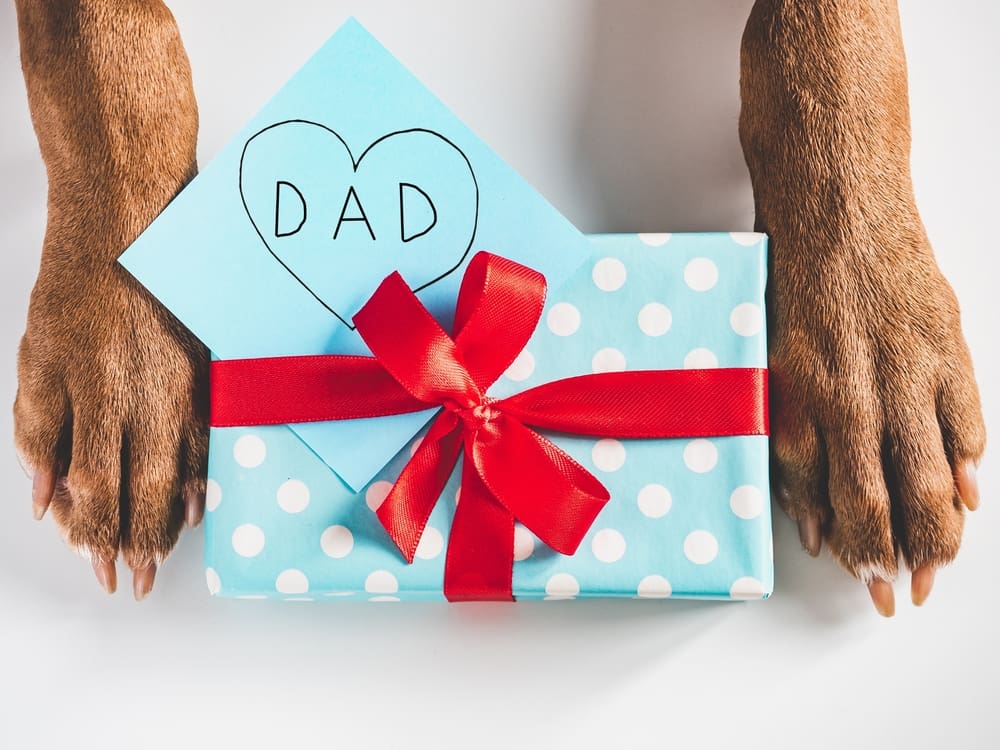 5 Dog Breeds for Every Dad this Father’s Day