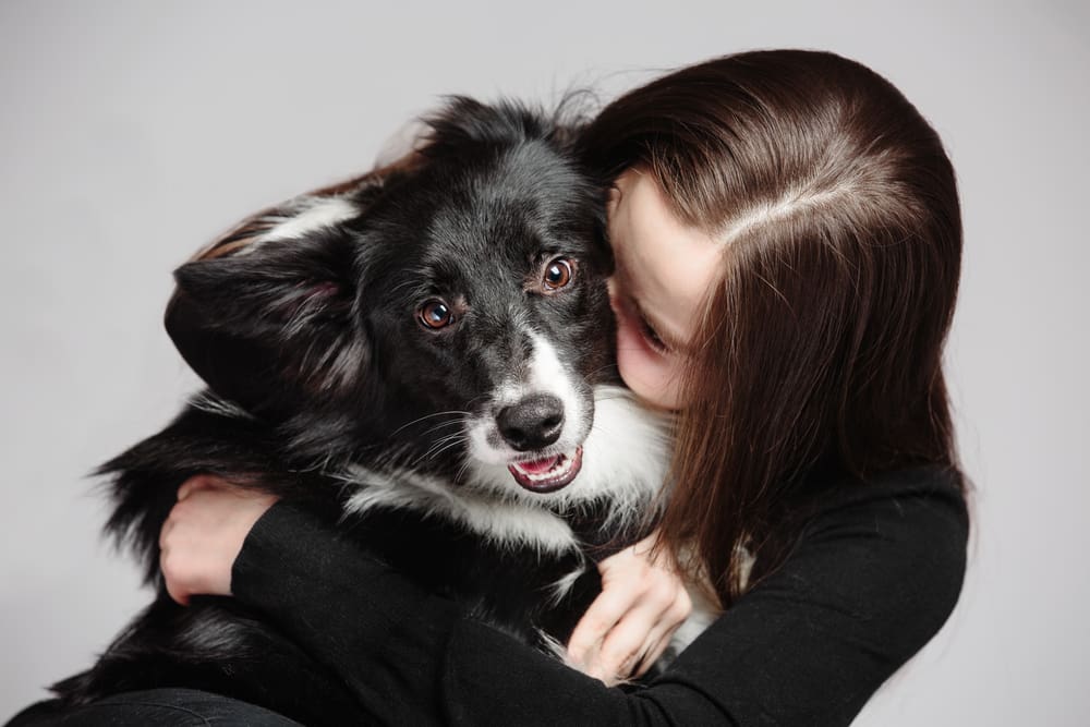 Top 10 Easy to Train dog Breeds