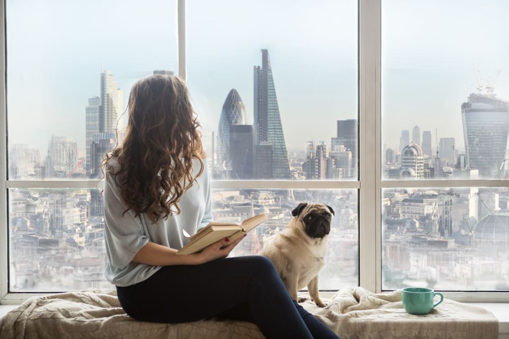 Best Dog Breeds for City Living